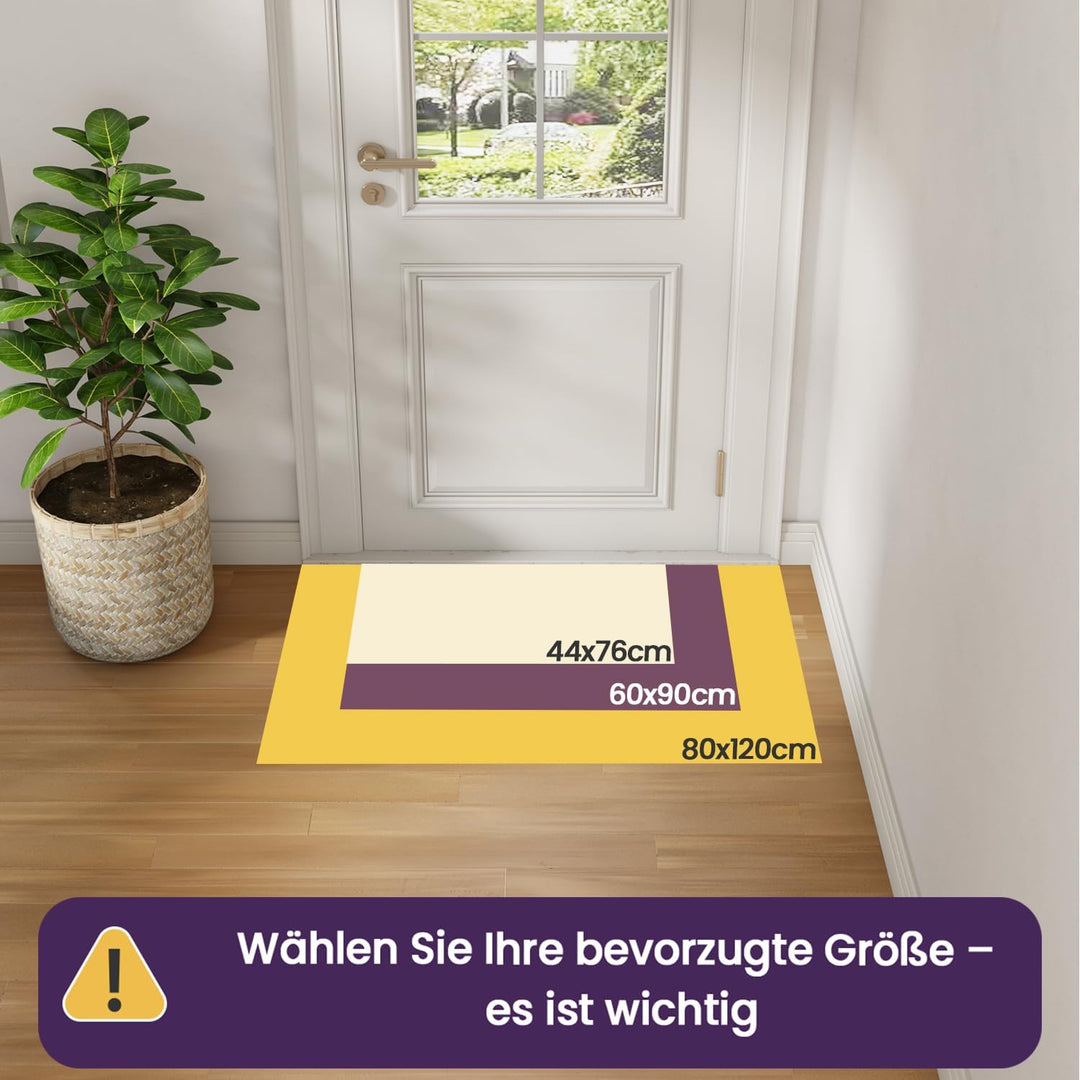 DEXI Schmutzfangmatte Innen 44 x 76 cm, rutschfest Fussmatte waschbar, absorbierend Fussmatte, Dünne
