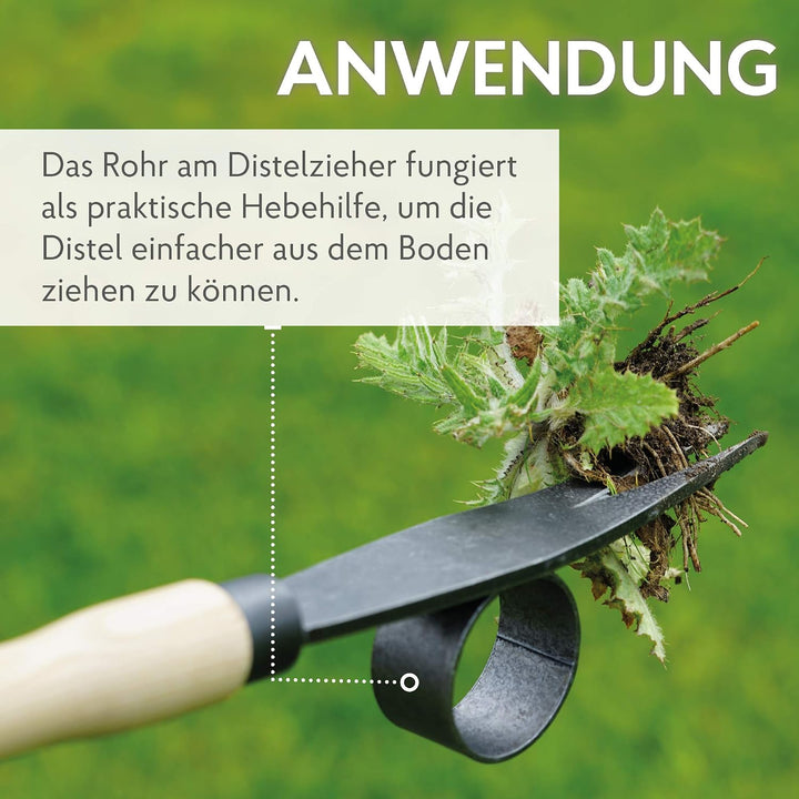 DeWit Distel-Zieher &