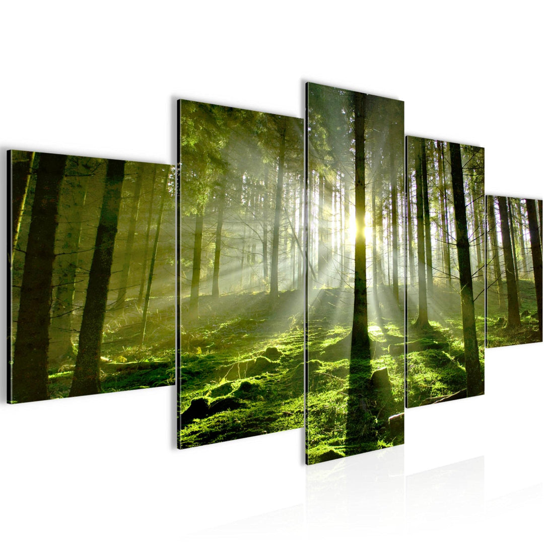 Runa Art Wandbilder Wald Landschaft 5 Teilig Bild auf Vlies Leinwand Deko Schlafzimmer Wohnzimmer So