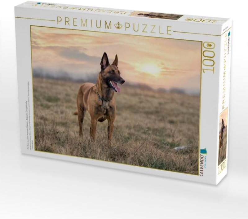 CALVENDO Puzzle Malinois - Belgische Energiebündel 1000 Teile Lege-Grösse 64 x 48 cm Foto-Puzzle Bil