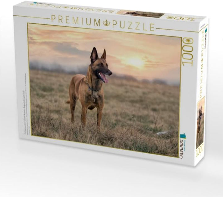 CALVENDO Puzzle Malinois - Belgische Energiebündel 1000 Teile Lege-Grösse 64 x 48 cm Foto-Puzzle Bil
