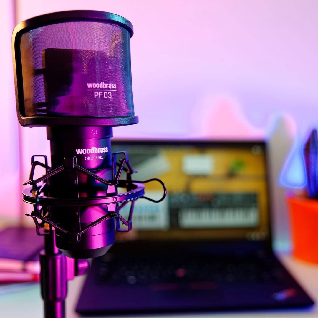 WOODBRASS Bird UM1 Podcast Pack Schwarz - USB-Kondensatormikrofon mit Nierencharakteristik für PC un