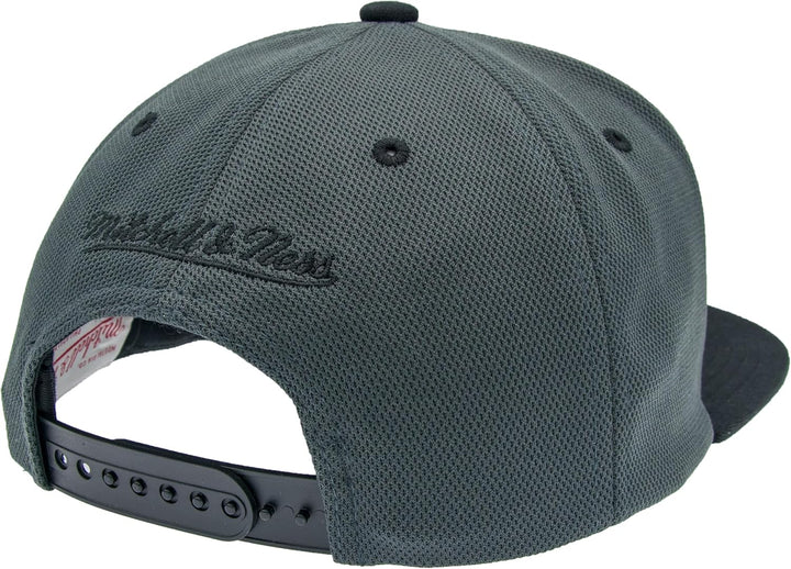 Mitchell & Ness Resist 3D Arch Snapback (NBA/NHL), Chicago Bulls, Grau