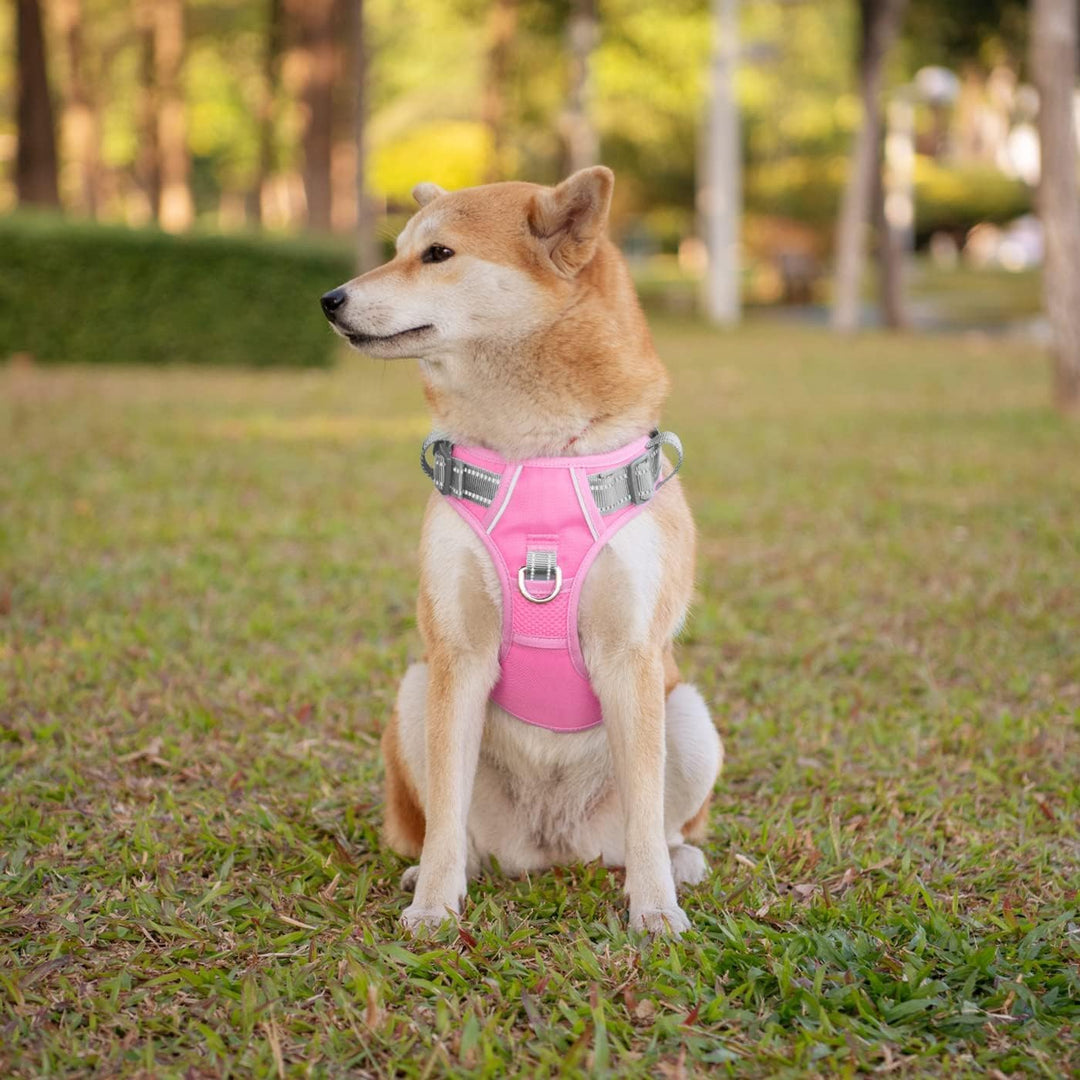 PHOEPET No Pull Hundegeschirr, reflektierende Hundeweste, mit weichem Trainingsgriff für kleine, mit