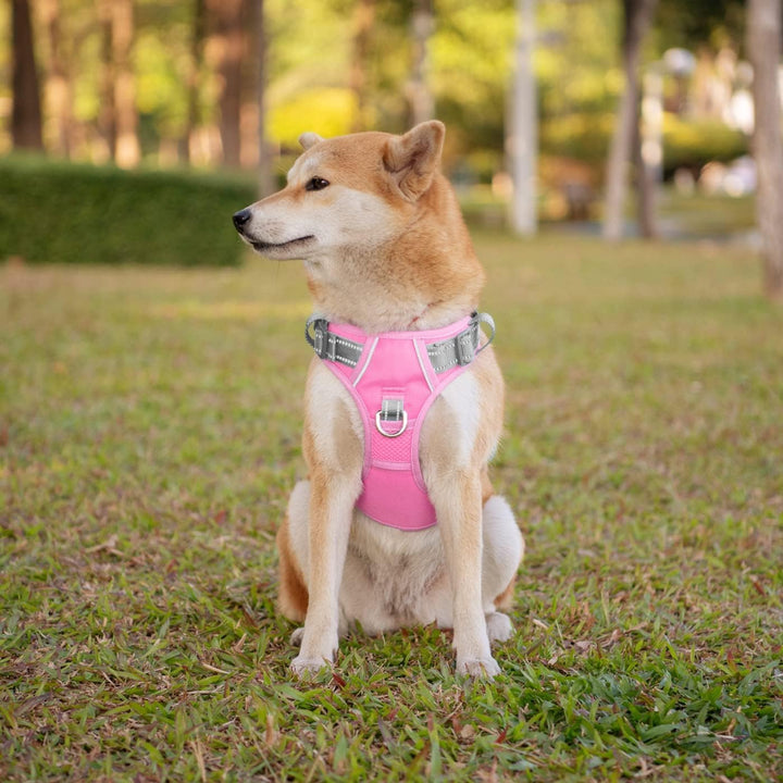 PHOEPET No Pull Hundegeschirr, reflektierende Hundeweste, mit weichem Trainingsgriff für kleine, mit