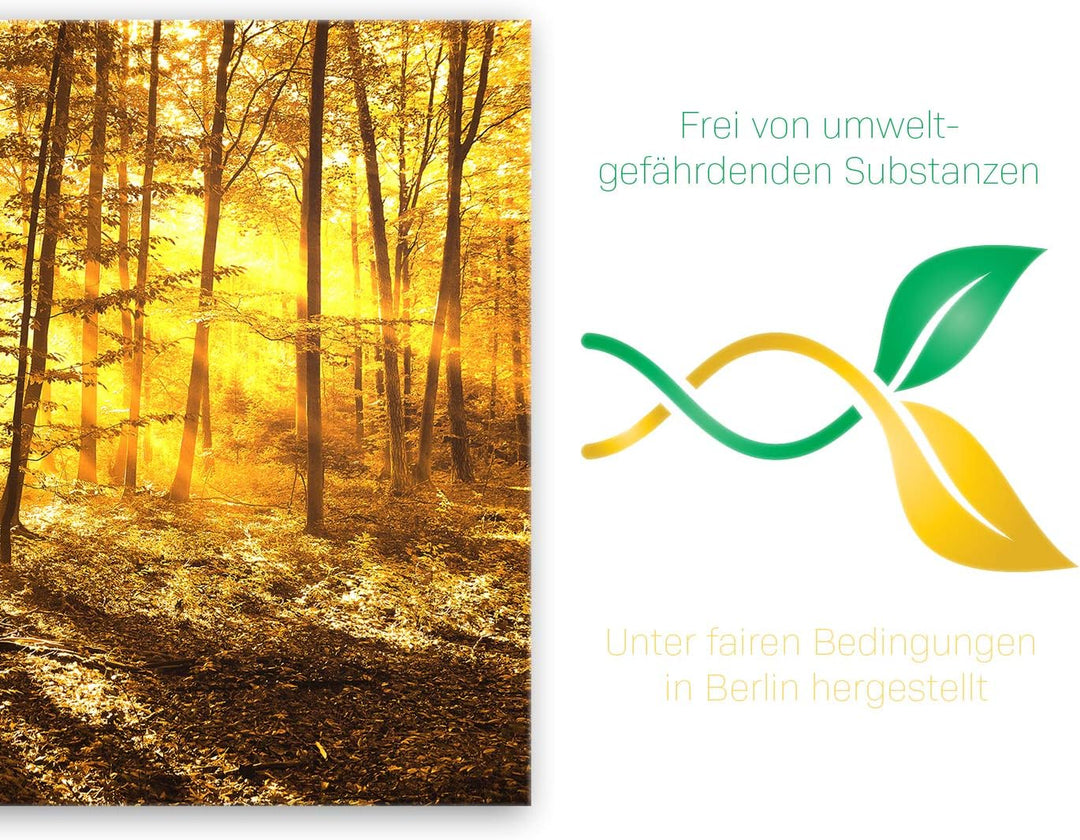 ge Bildet Bild auf Leinwand | beautiful morning in the forest - natur blumen wald gelb orange I in 7