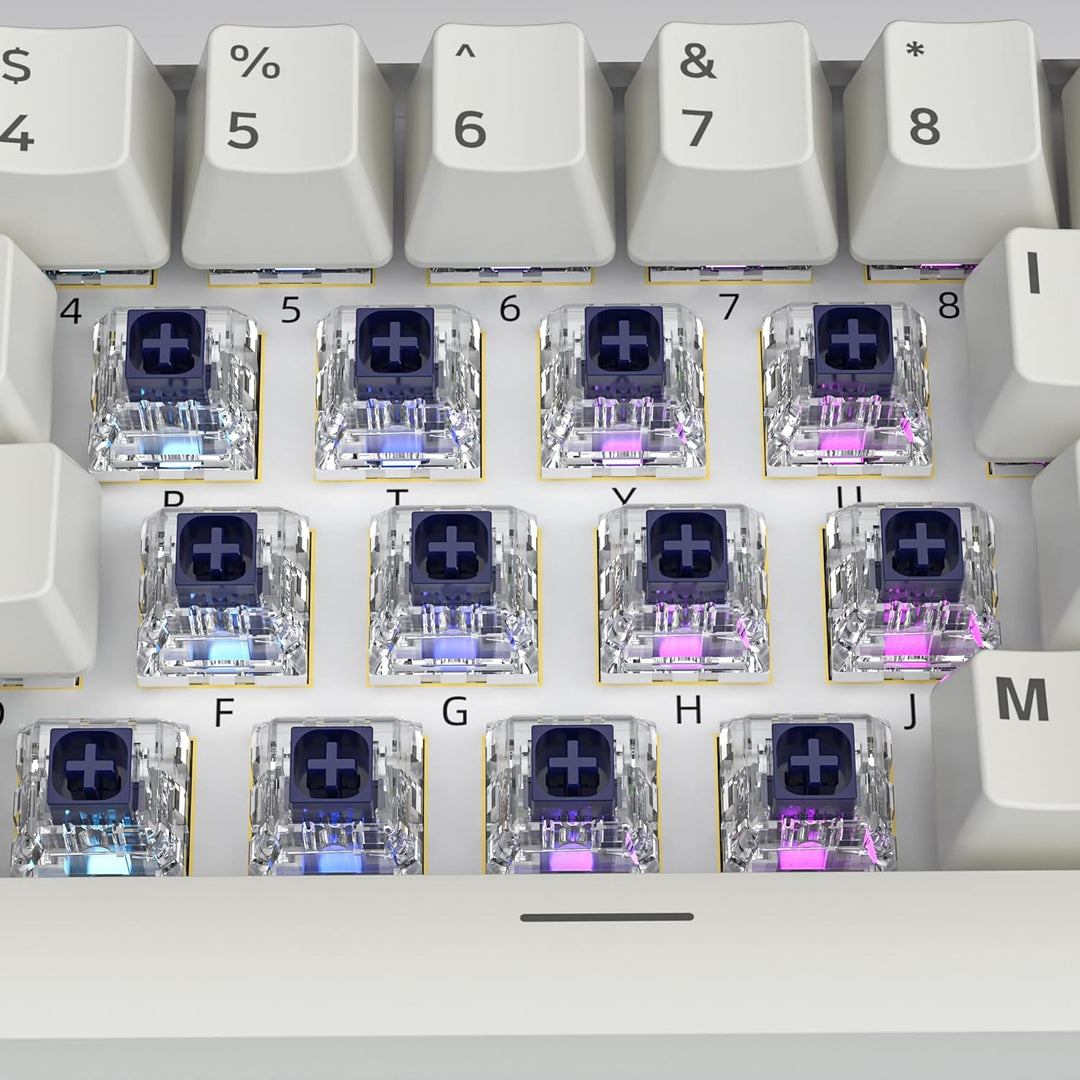 Zjmehty Kailh Box Navy Schalter für mechanische Gaming-Tastatur,3-Pin 60gf Clicky/Factory Lubed/IP56