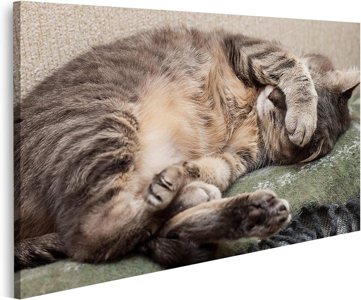 islandburner Bild auf Leinwand Schlafende Katze Bilder Wandbilder Poster, Leinwand 80x40cm