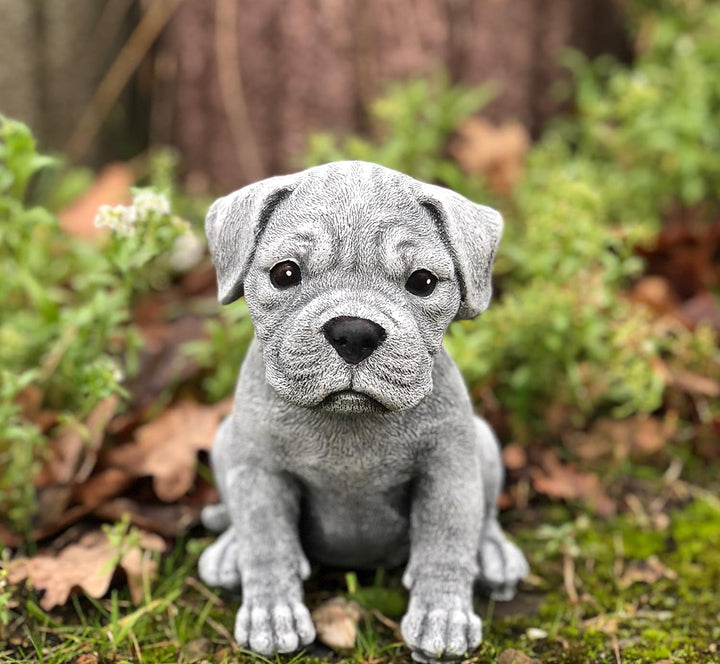 stoneandstyle Steinfigur Boxer Welpe, Frost- und wetterfest bis -30°C, massiver Steinguss