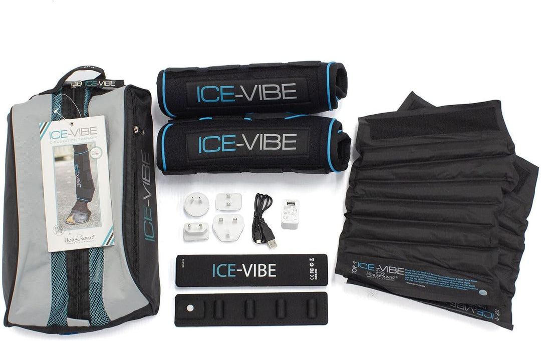 Ice-Vibe Cool Bag DYHK35-KOOO-ME black