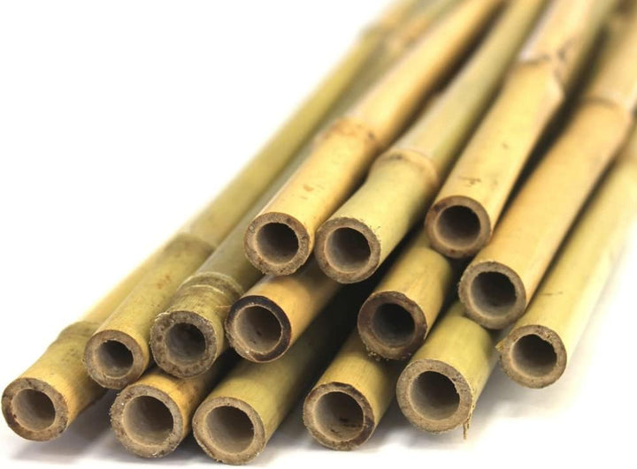 Bambus-Stäbe 1,5m, Ø 11-15mm (20), 20