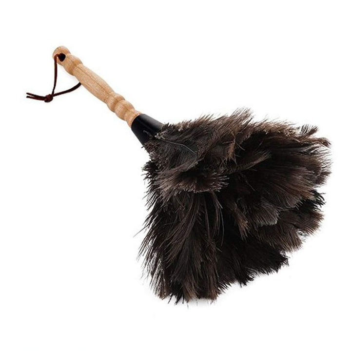 CULASIGN Staubwedel Strauss Bambusgriff Feder Staubwischer Strauss Natur Straussenfedern 32 cm (1#)