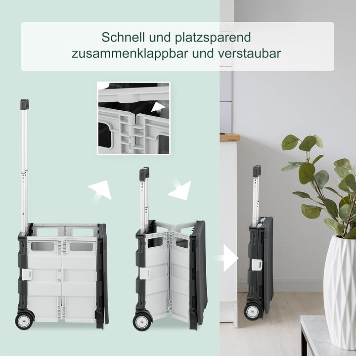 Relaxdays Einkaufstrolley, klappbar, Einkaufskorb mit Rollen, Deckel & Teleskopgriff, bis 35 kg, Rol