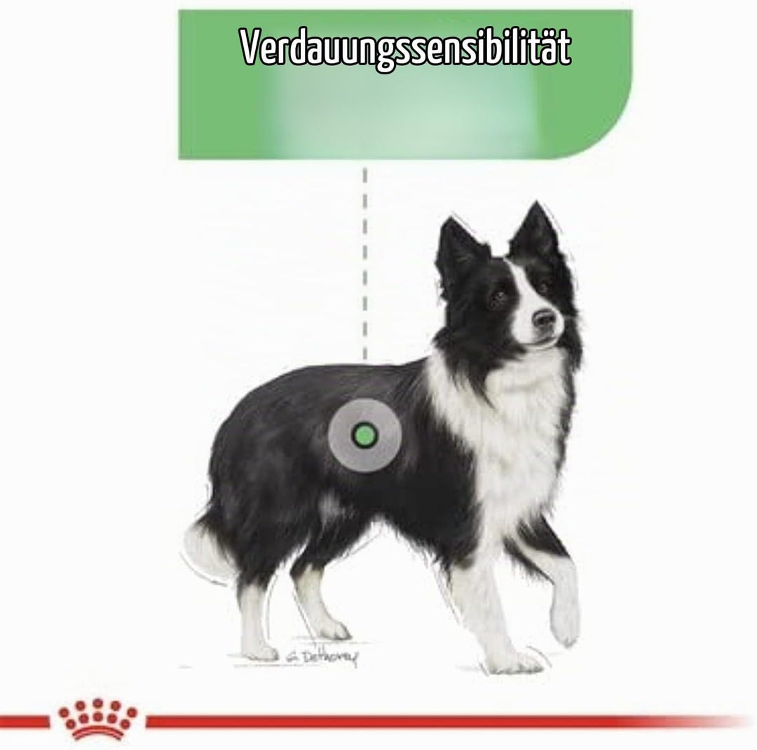 ROYAL CANIN Digestive Care Medium Poultry - Dry Dog Food - 12 kg