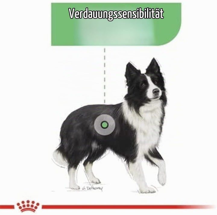 ROYAL CANIN Digestive Care Medium Poultry - Dry Dog Food - 12 kg