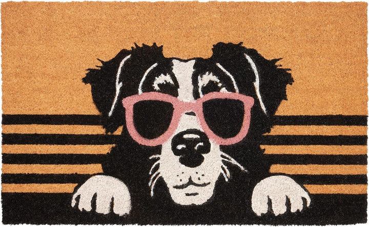 BRUBAKER Fussmatte für Aussen und Innen - Hund mit Sonnenbrille - 45 x 75 cm Schmutzfangmatte aus 10