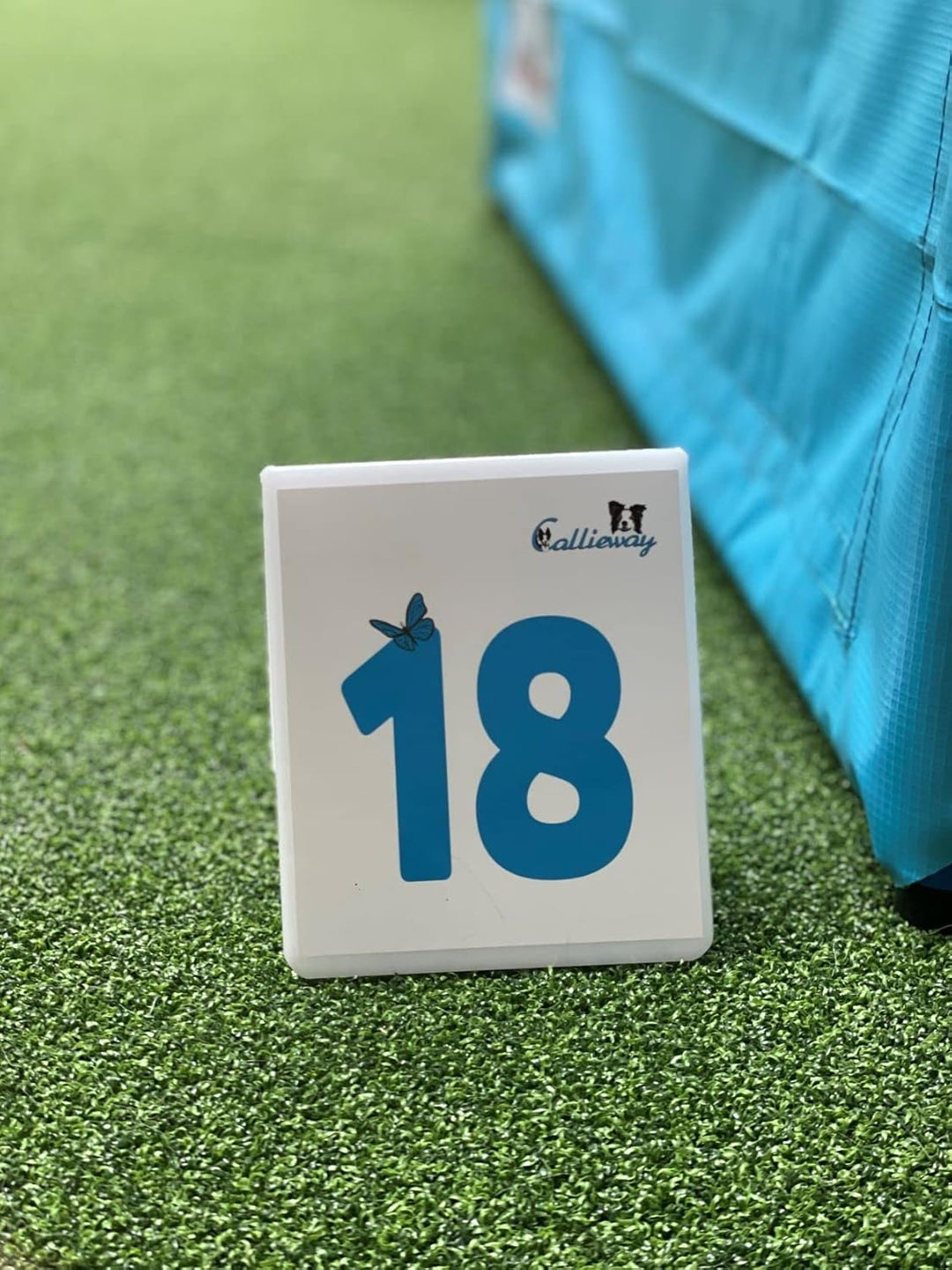 Callieway Agility Parcoursnummern Blue Butterfly Nummernschilder - durchnummeriertes Klebeset 1-25 B