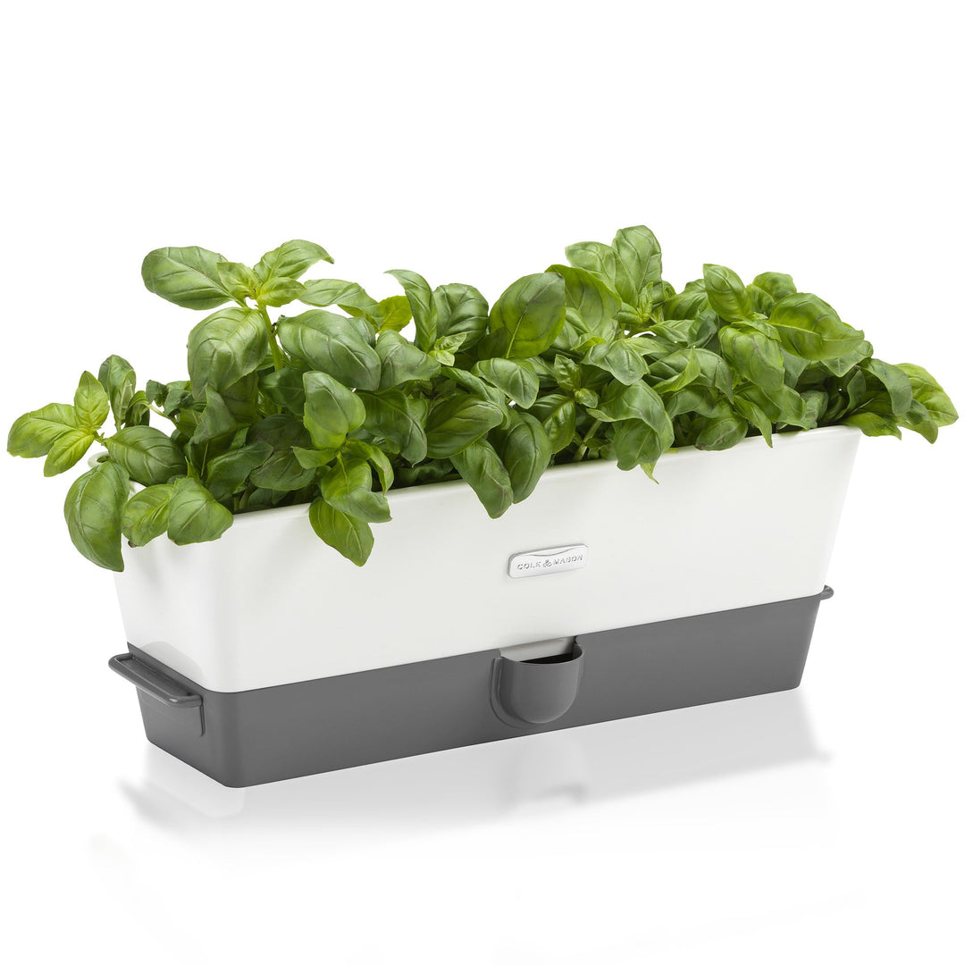 Cole &amp; Mason H105349 Burwell 3-Fach Kräutertopf Selbstbewässernd, Kräutertopf Balkon/Kräutergarten f