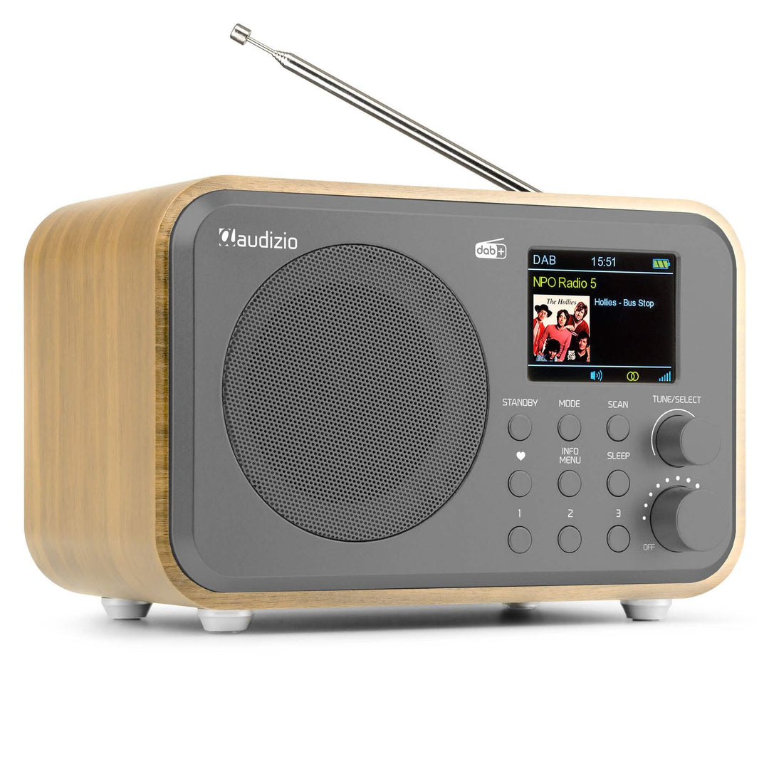 Audizio Milan DAB Radio mit Bluetooth, 10 Stunden Akku Radio 2000 mAh, Radiowecker mit Sleeptimer, L