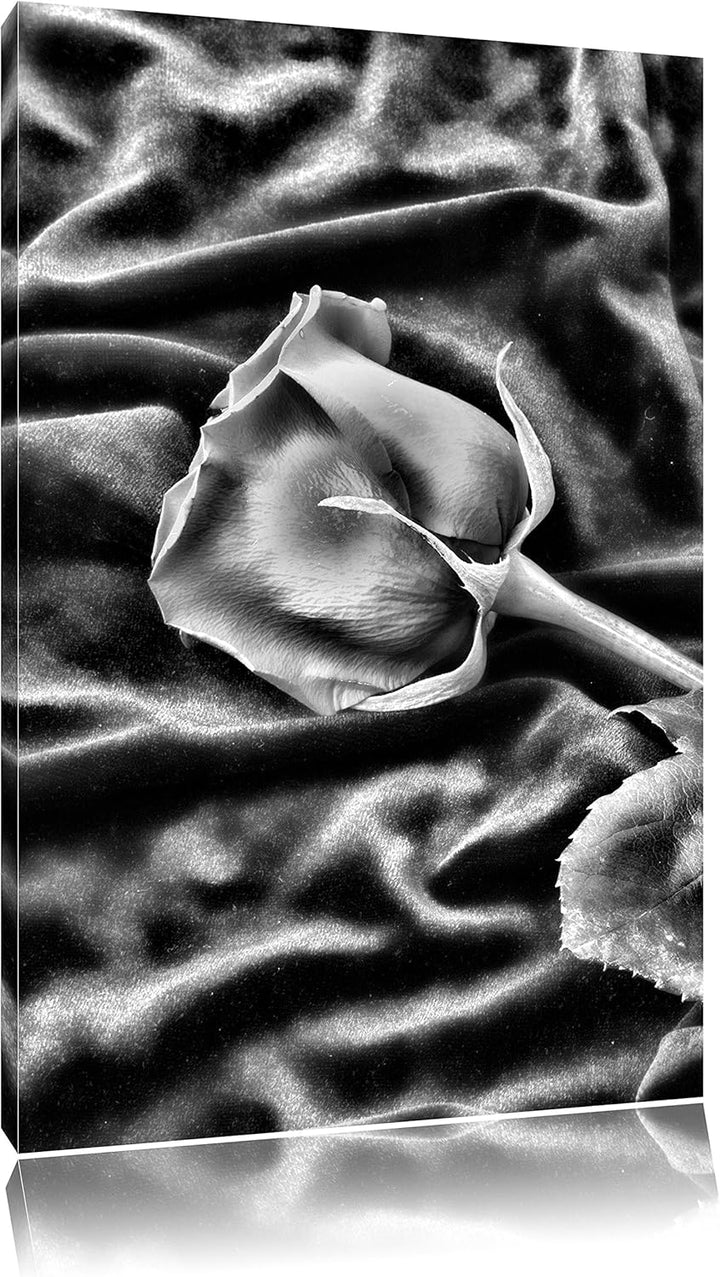 Monocrome, Rose, Format: 100x70 auf Leinwand, XXL riesige Bilder fertig gerahmt mit Keilrahmen, Kuns