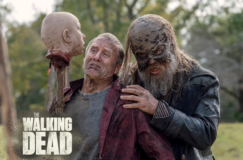 The Walking Dead - Staffel 10 [6 DVDs], DVD