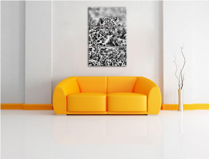 Pixxprint junger Leopard im Gras als Leinwandbild/Grösse: 3 Teilig (120x80) cm/Wandbild/Kunstdruck/f