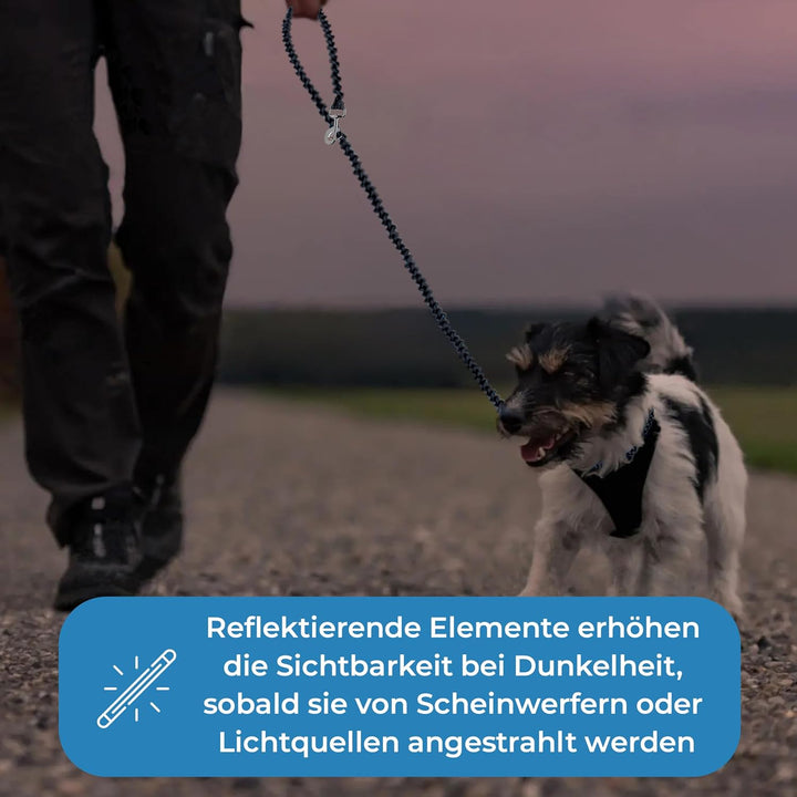 Testnote: Sehr gut - Hundeleine reflektierend I 3m, verstellbar, wetterfest & reissfest bis 250 kg I
