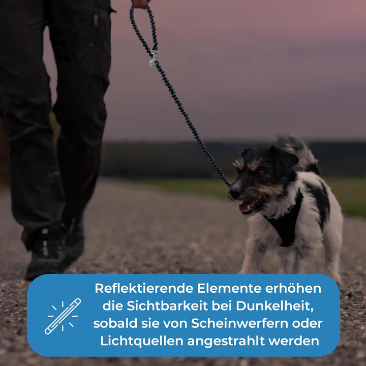 Testnote: Sehr gut - Hundeleine reflektierend I 2m, verstellbar, wetterfest &amp; reissfest bis 250 kg I