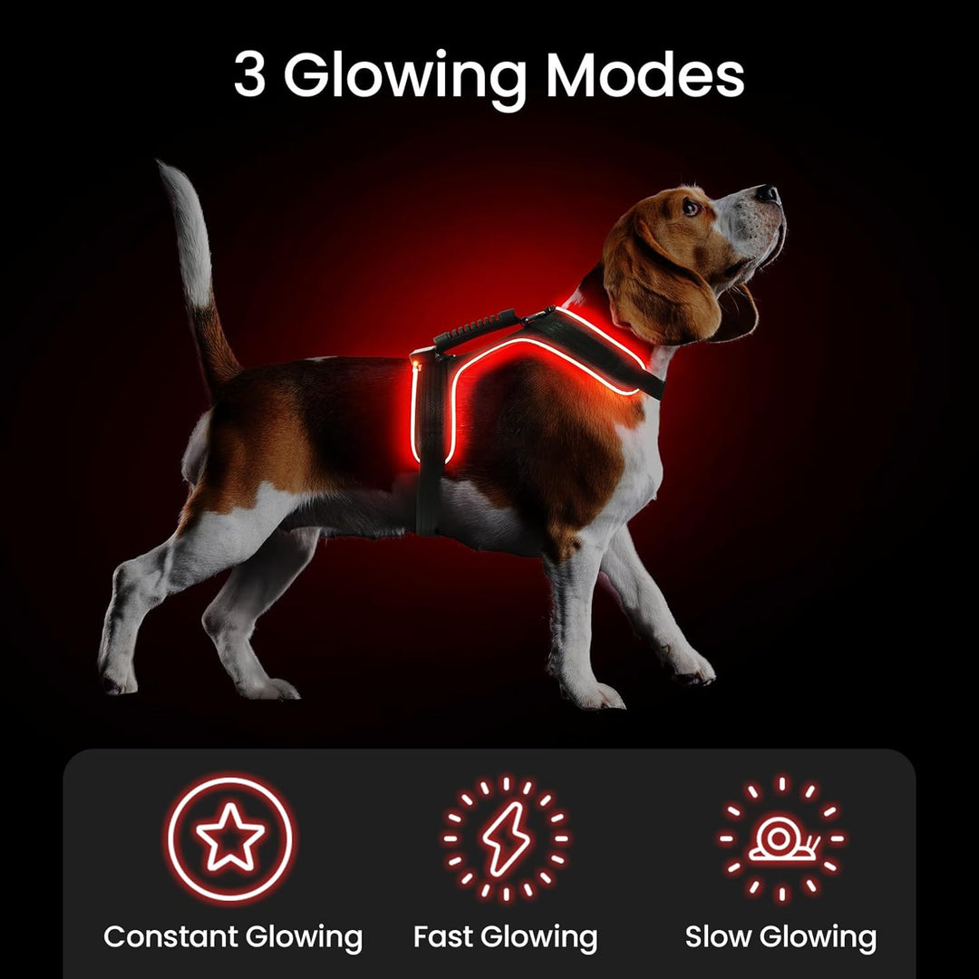 MASBRILL LED Hundegeschirr Leuchtend, Leuchtgeschirr für Hunde Aufladbar Verstellbar LED Leucht Brus