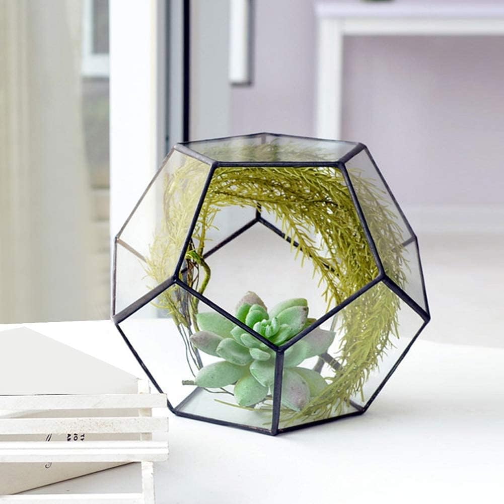 Geometrische Dekorative Terrarium Cube Geneigte Klarglas Pflanzer Tischplatte Schwarz Kleine Air Pla