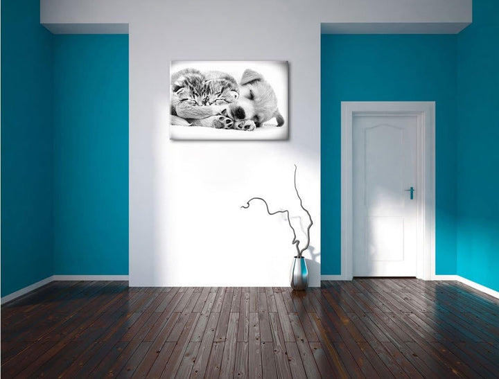 Pixxprint Hundewelpe mit kleinen Kätzchen als Leinwandbild/Grösse: 100x70 cm/Wandbild/Kunstdruck/fer