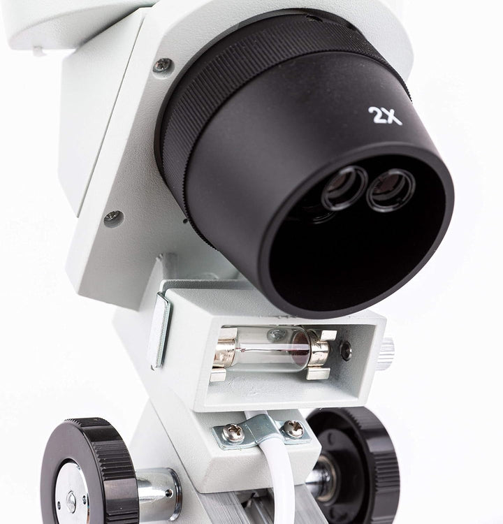 AmScope SE400 Professionelles Binokulares Stereomikroskop, WF10X-Okulare, 1X-Objektiv, LED-Beleuchtu