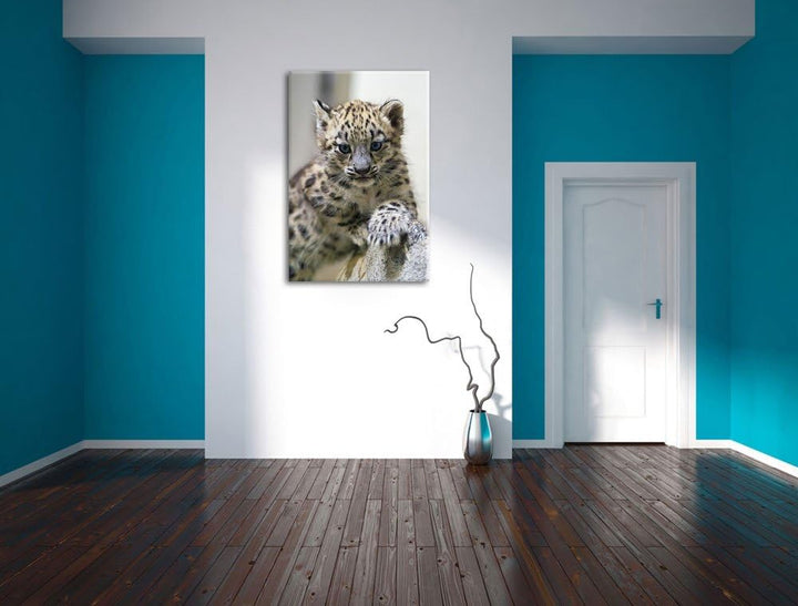 Pixxprint Leopardenjunges beim Klettern auf Leinwand, XXL riesige Bilder fertig gerahmt mit Keilrahm