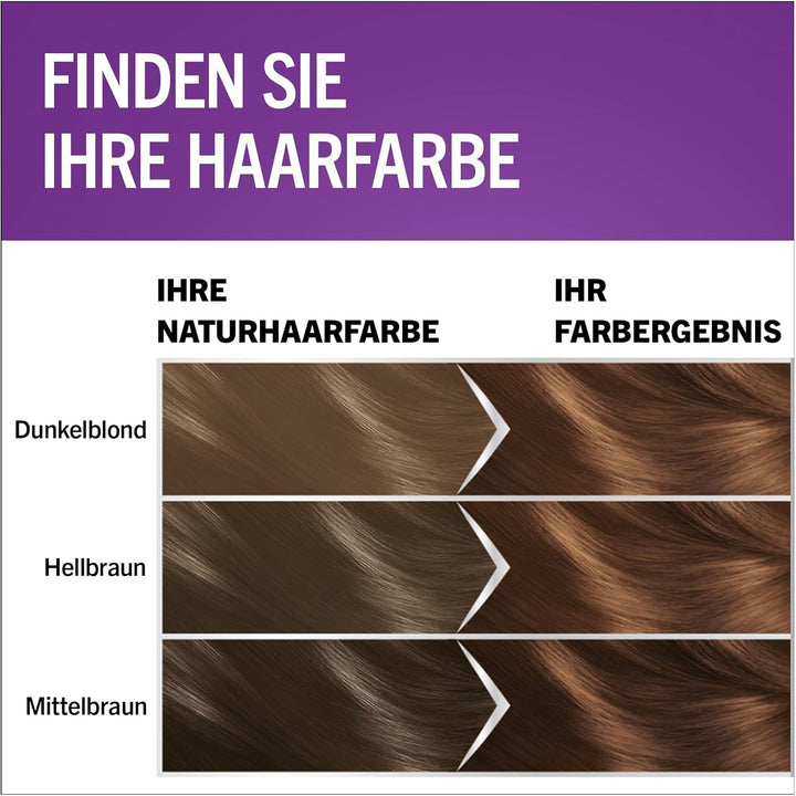 Schwarzkopf Perfect Mousse Permanente Schaumcoloration 665/6-65 Helles Schokobraun (93 ml), Haarfarb