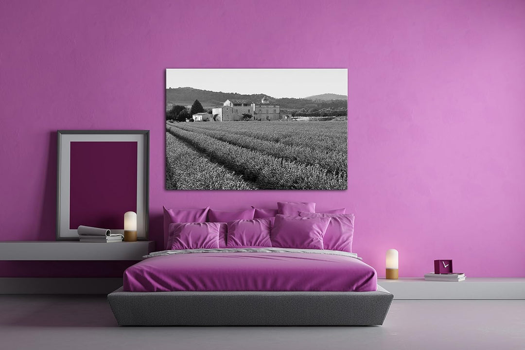 deyoli beeindruckendes Lavendelfeld in Frankreich Effekt: Schwarz/Weiss Format: 80x60 als Leinwandbi