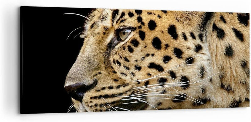 Wandbilder Dekoration Wohnzimmer Tiere Leopard wilde Katze wilde Tiere Bilder auf Leinwand 120x50cm