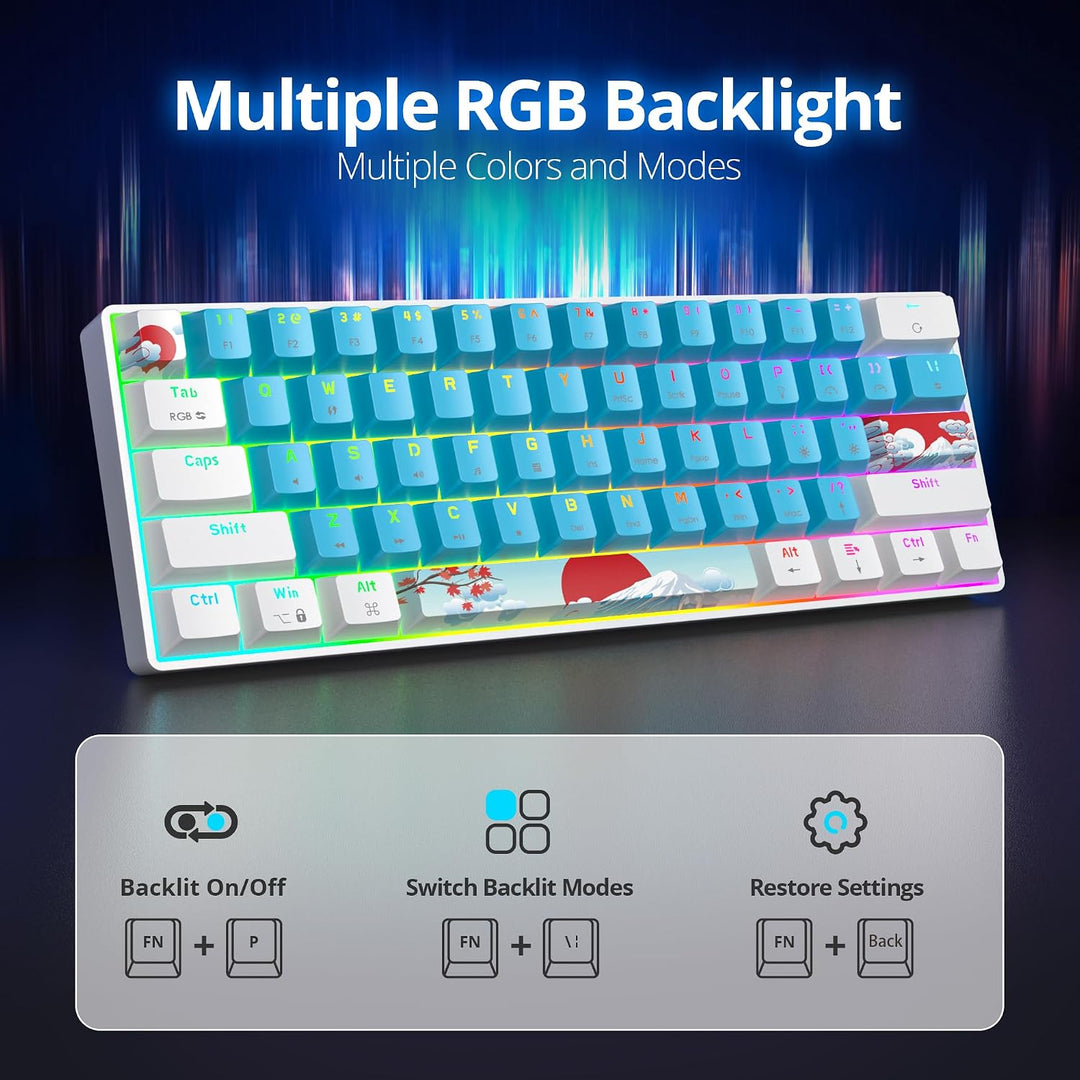 Gaming Tastatur 60 Prozent, Wired RGB Mechanische Tastatur America QWERTY, Mini 61 Tasten USB Tastat