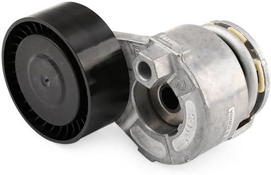 SKF VKM36055 VKM 36055 Spannrollensatz für Nebentrieb