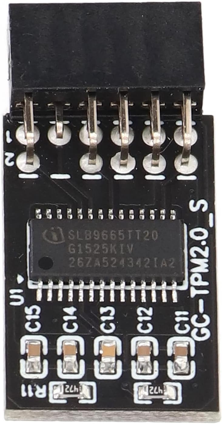 TPM 2.0 Modul LPC SPI 12 Pin Remote Card Encryption Security Board, Zubehör Kompatibel mit Plattform