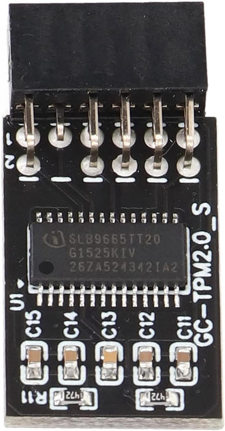 TPM 2.0 Modul LPC SPI 12 Pin Remote Card Encryption Security Board, Zubehör Kompatibel mit Plattform