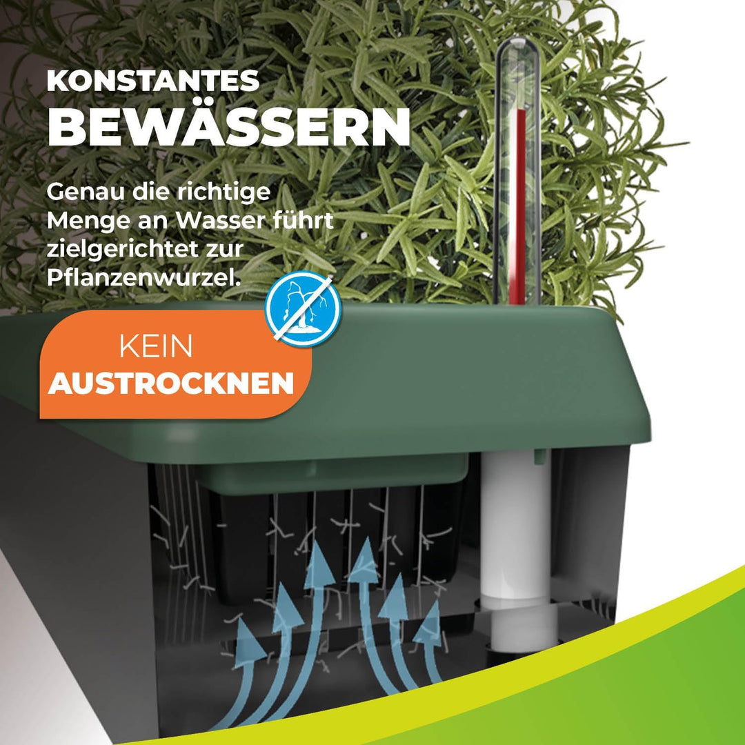 Fensterbank-Kräuterbeet "PROVENCE"