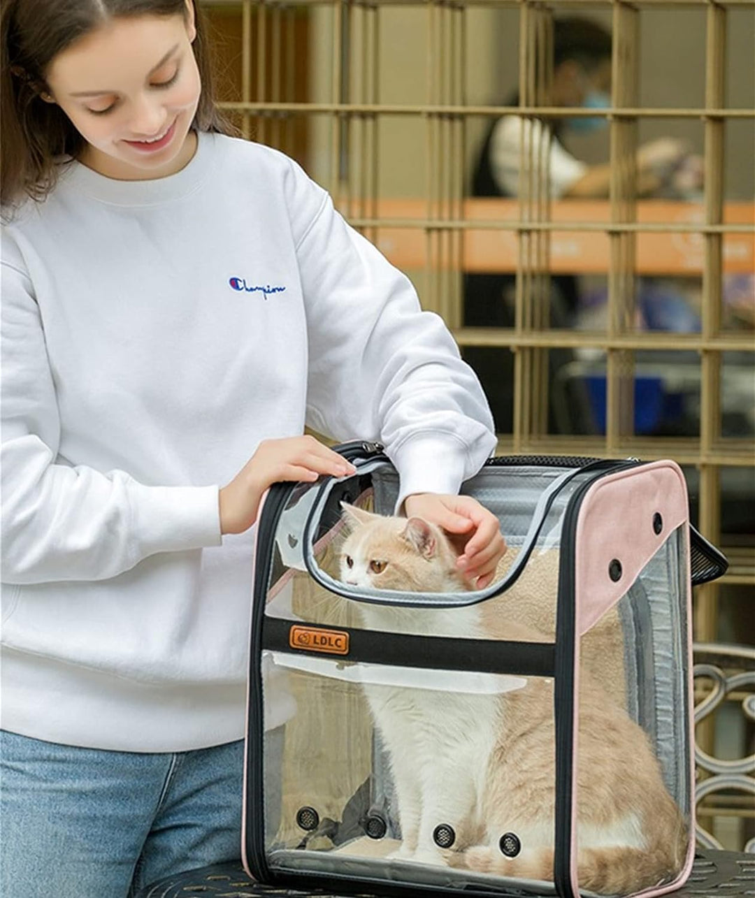 WEECOC Haustier tragen Transporttasche Rucksack Käfig Katze Hund Käfig Tragbare Haustier Tragetasche