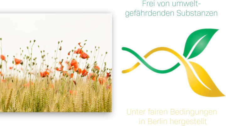 ge Bildet Bild auf Leinwand | Mohnfeld in 120x50 cm als Panorama Wandbild XXL | Wand-deko Dekoration