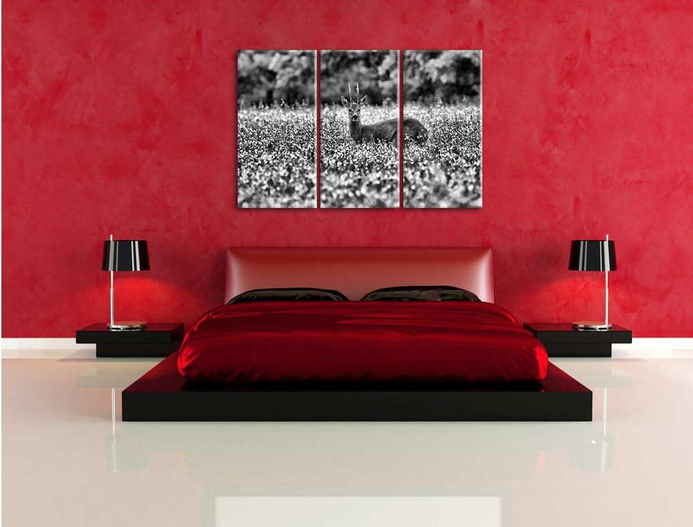 Pixxprint Monocrome, junger Hirsch auf Wildwiese 3-Teiler Leinwandbild 120x80 Bild auf Leinwand