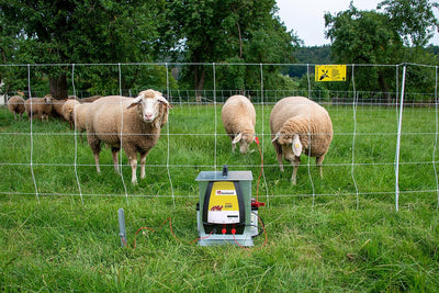 horizont Weidezaungerät 12V - hotshock A300 - für die Abwehr robuster Tiere, zur Haltung von langhaa