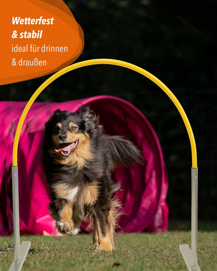 Hoopers Hoop mit Aluminiumfüssen und flexiblem Steckbogen, stabil & VDH-konform, Bogenfarbe Weiss, w