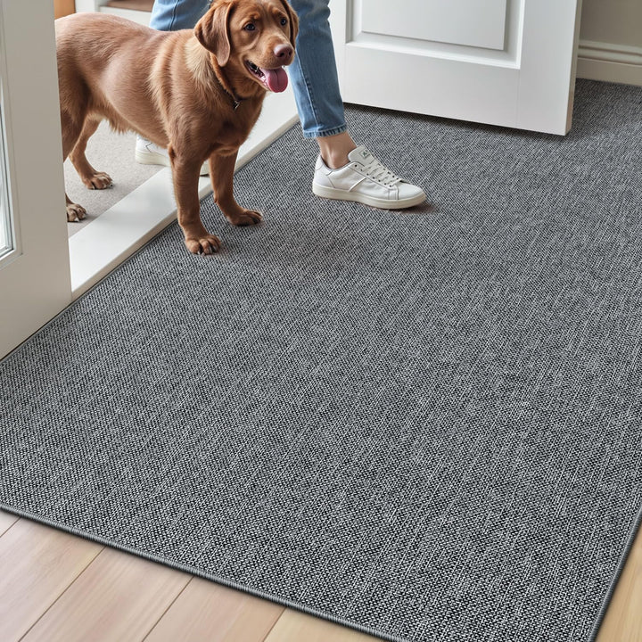 LUMI Schmutzfangmatte 80x120cm, Fussmatte Innen, rutschfest Dunkelgrau | Fängt Schmutz und Feuchtigk