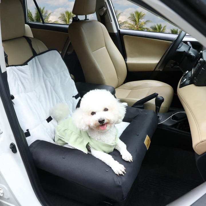 BingoPaw Hunde Autositz für kleine Hunde, 3-in-1 Hundesitz Auto Rückbank und Vorder, Hundeautositz m