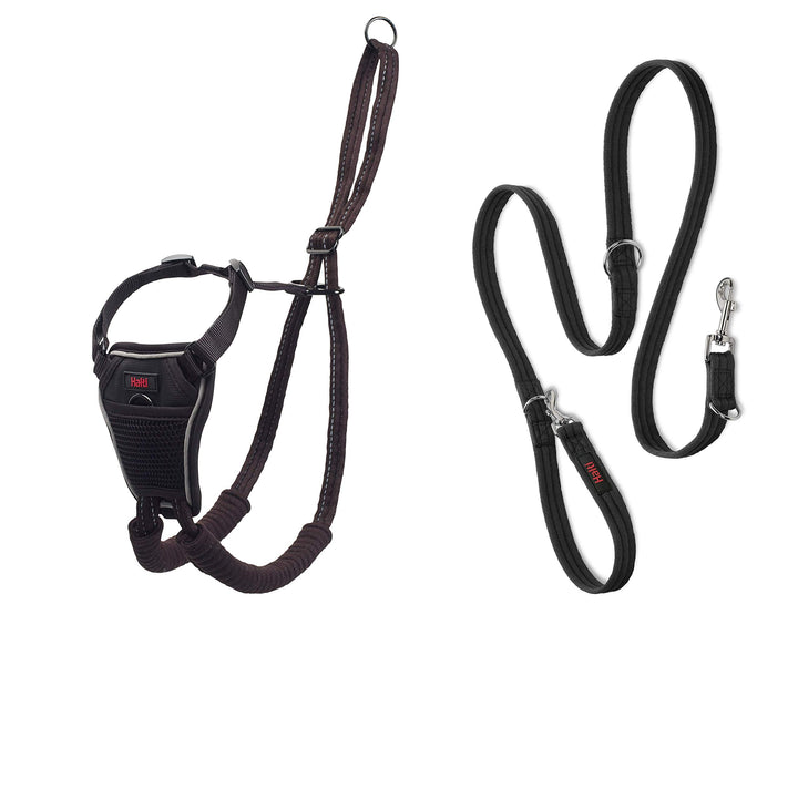 Halti No Pull Geschirr und Trainingsleine Kombi-Pack, Stop Dog Pulling on Walks with Halti, Includes