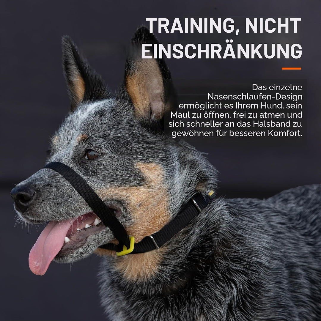 Canny Halsband – The Canny Colossus Hundehalsband für grosse Hunderassen, einfache und effektive Hil